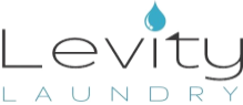 Read more about the article Levity Laundry offers laundry pickup and delivery in Dundee, MI