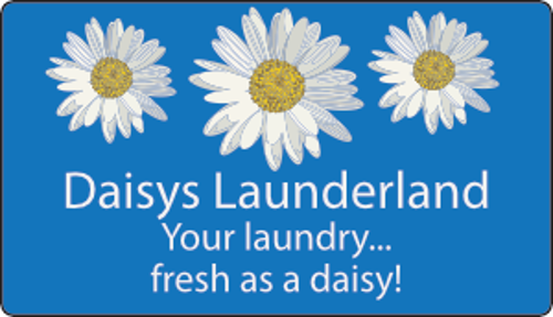 You are currently viewing Daisy’s Launderland offers laundry pickup and delivery in Santa Clara, CA